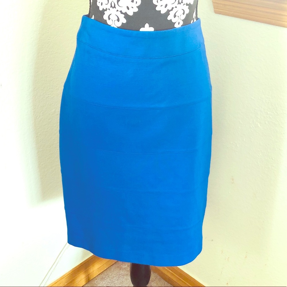 Royal Blue Pencil Skirt--Perfect for Work